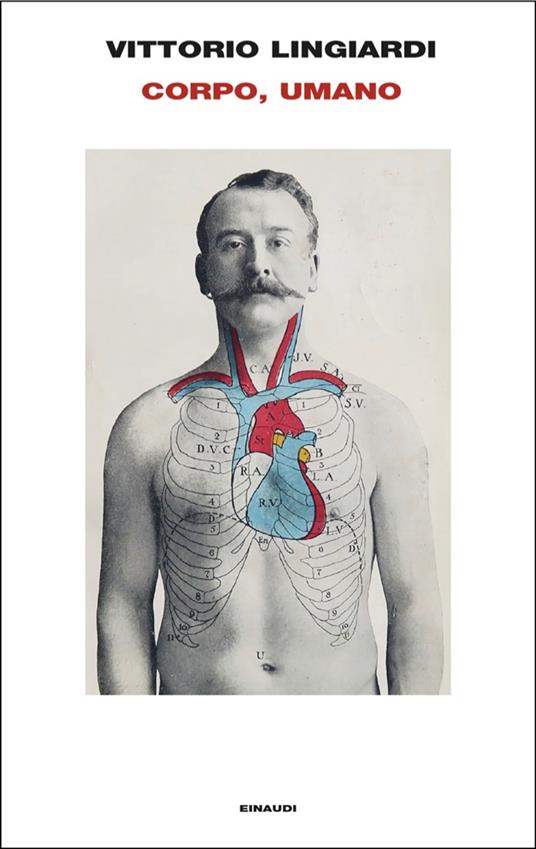 Corpo, umano - Vittorio Lingiardi - ebook
