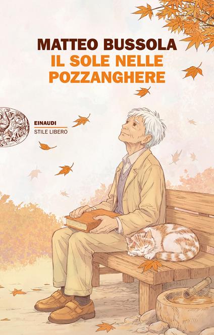 Il sole nelle pozzanghere - Matteo Bussola - ebook