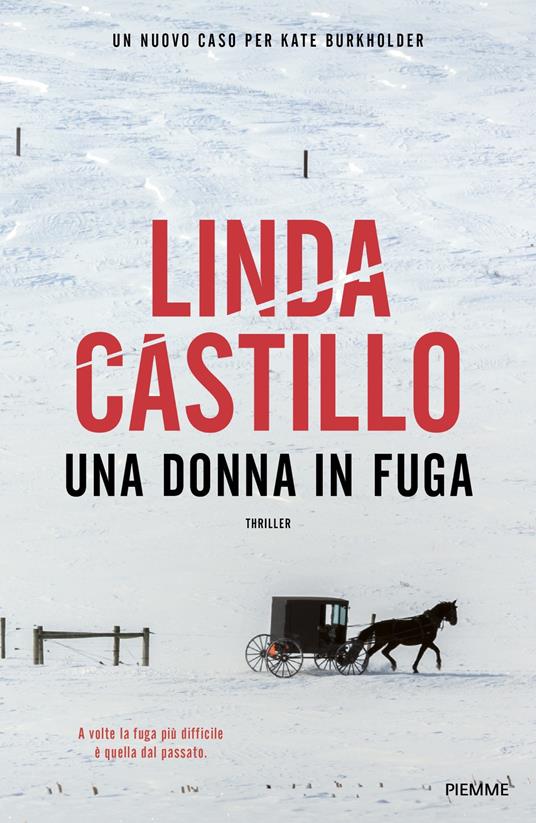Una donna in fuga - Linda Castillo,Rachele Salerno - ebook