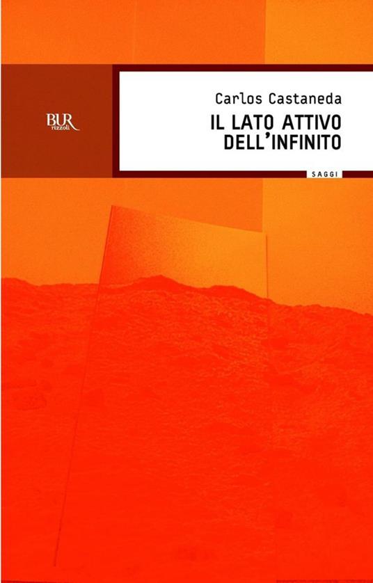 Il lato attivo dell'infinito - Carlos Castaneda,A. De Vizzi,M. B. Piccioli - ebook