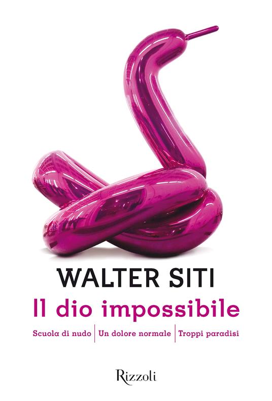 Il dio impossibile -  Walter Siti - copertina