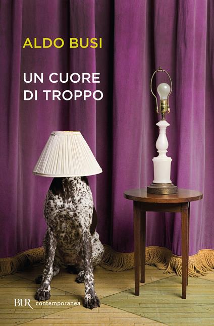 Un cuore di troppo - Aldo Busi - ebook
