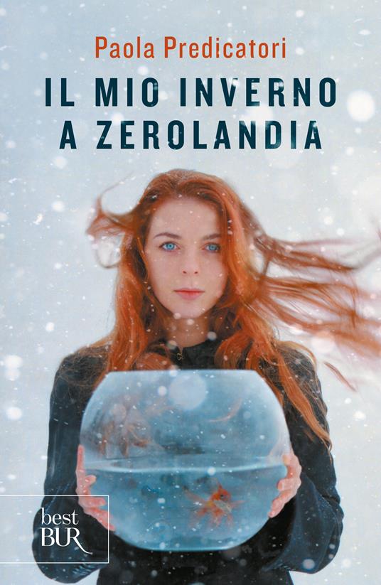 Il mio inverno a Zerolandia - Paola Predicatori - ebook