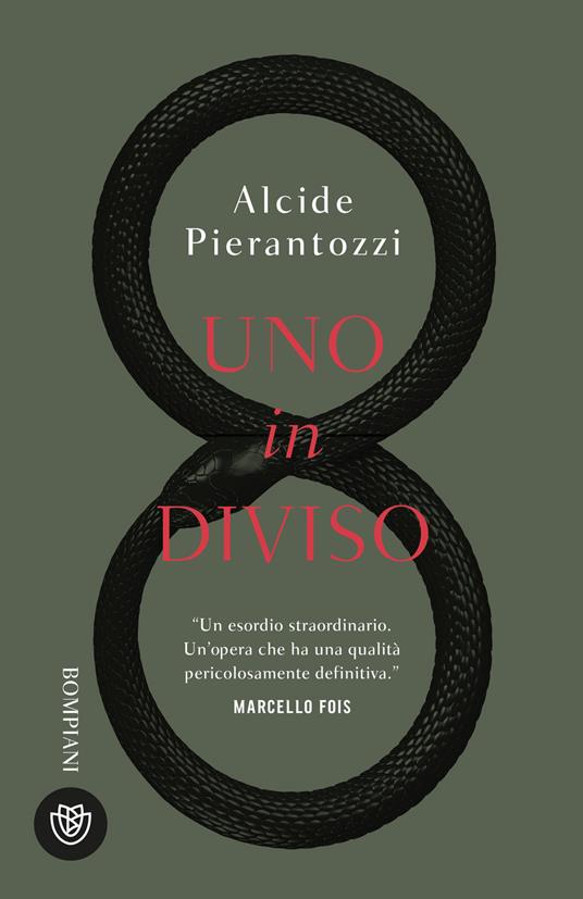 Uno in diviso - Alcide Pierantozzi - ebook
