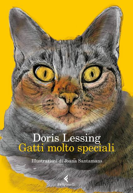 Gatti molto speciali - Doris Lessing,Maria Antonietta Saracino,Joana Santamans - ebook