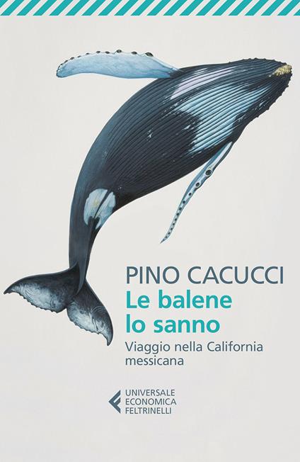 Le balene lo sanno. Viaggio nella California messicana - Pino Cacucci - ebook