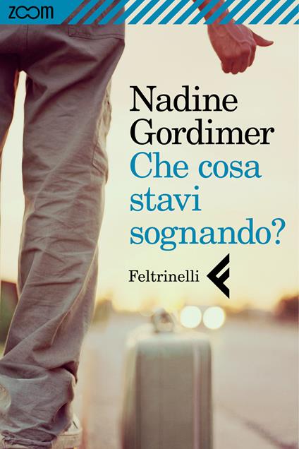 Che cosa stavi sognando? - Nadine Gordimer,Franca Cavagnoli - ebook