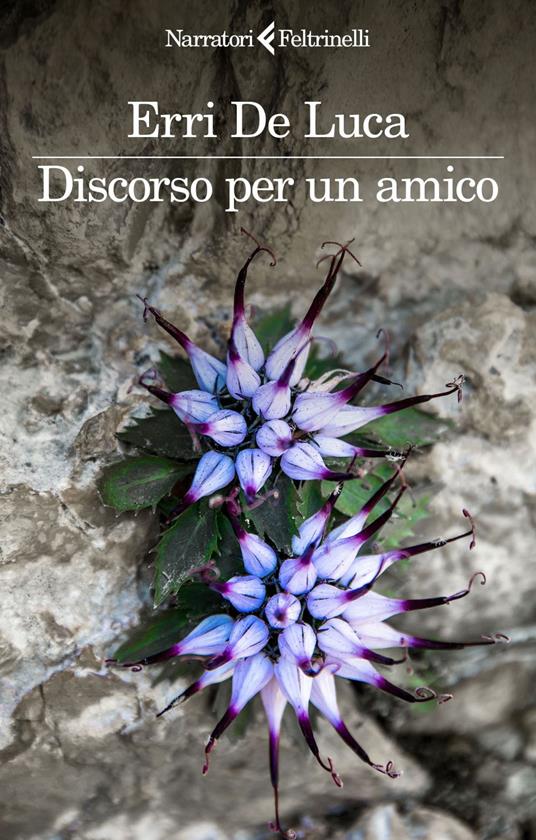 Discorso per un amico - Erri De Luca - ebook