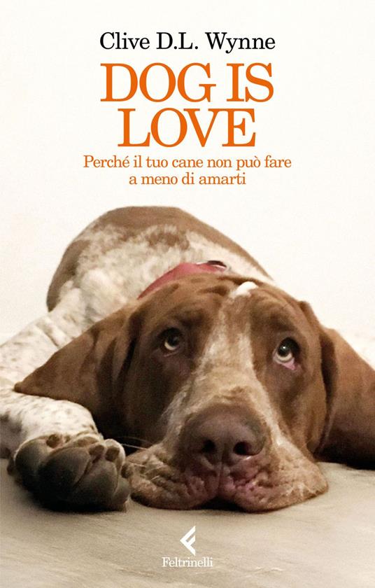 Dog is love. Perché il tuo cane non può fare a meno di amarti - Clive D. L. Wynne,Monica Sala - ebook