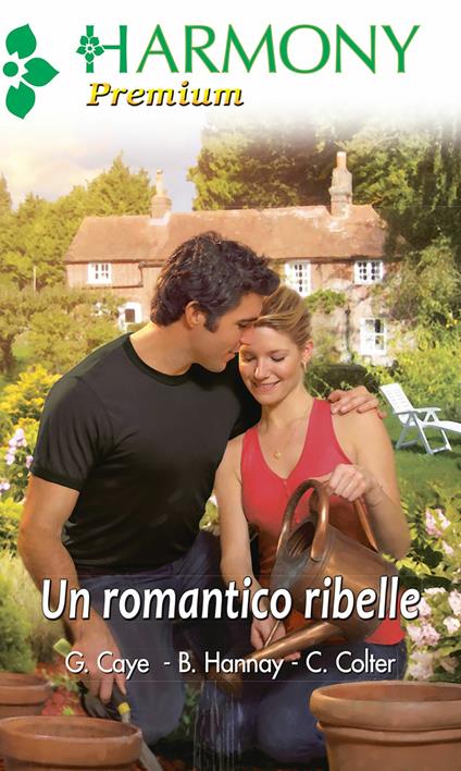 Un romantico ribelle - Cara Colter,Barbara Hannay,Gayle Kaye - ebook