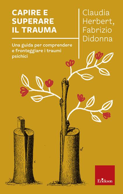 Capire e superare il trauma. Una guida per comprendere e fronteggiare efficacemente i traumi psichici - Claudia Herbert,Fabrizio Didonna - copertina