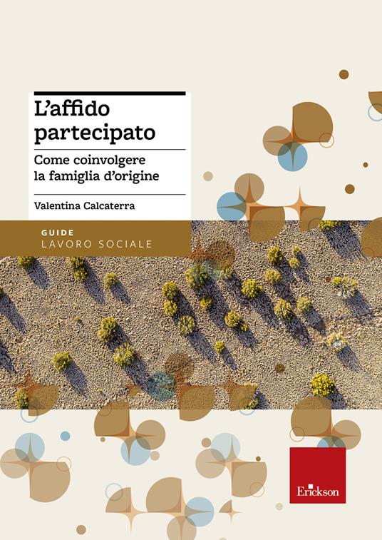 L' affido partecipato. Come coinvolgere la famiglia d'origine - Valentina Calcaterra - ebook