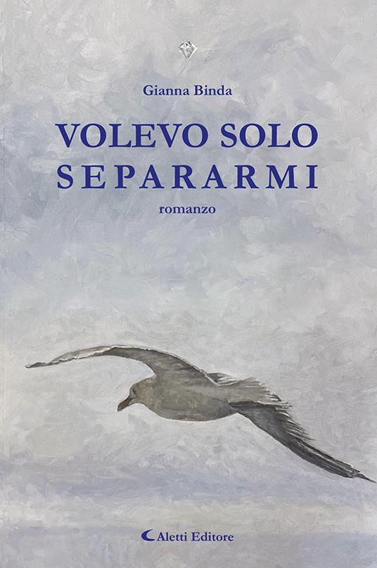 Volevo solo separami - Gianna Binda - copertina