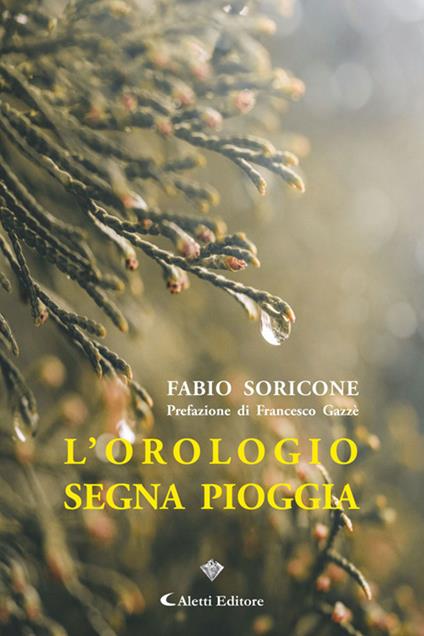 L' orologio segna pioggia - Fabio Soricone - ebook