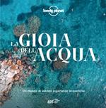 La gioia dell'acqua. Un mondo di sublimi esperienze acquatiche. Ediz. illustrata