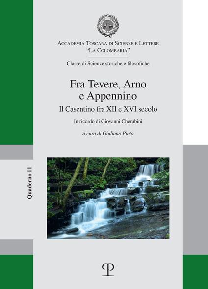 Fra Tevere, Arno e Appennino. Il Casentino fra XII e XVI secolo - copertina