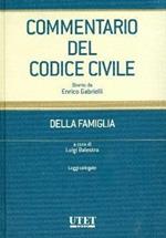 Commentario del Codice civile. Vol. 4: Della famiglia. Leggi collegate