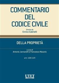 Commentario del codice civile. Della proprietà. Vol. 3 - Antonio Jannarelli,Francesco Macario - ebook