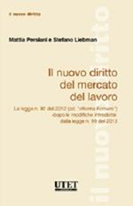 Il nuovo diritto del mercato del lavoro