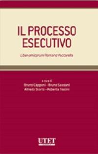 Il processo esecutivo - copertina