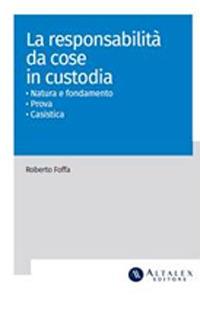 Responsabilità da cose in custodia - Roberto Foffa - ebook