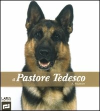 Diraco Store
