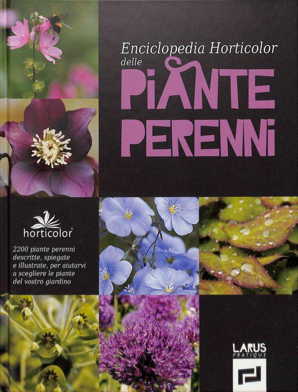 Folignolibri