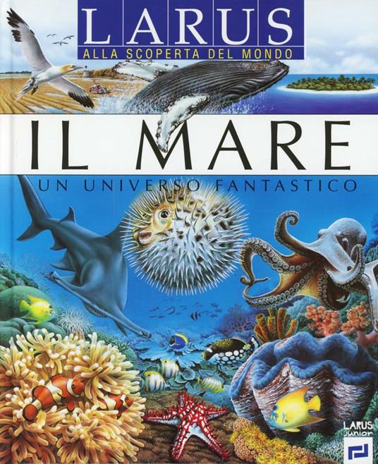 Il mare. Ediz. illustrata - copertina