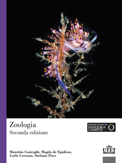 Zoologia - Maurizio Casiraghi,Magda De Eguileor,Carlo Cerrano - copertina
