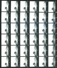 Ugo Mulas. Vitalità del negativo. Ediz. illustrata - copertina