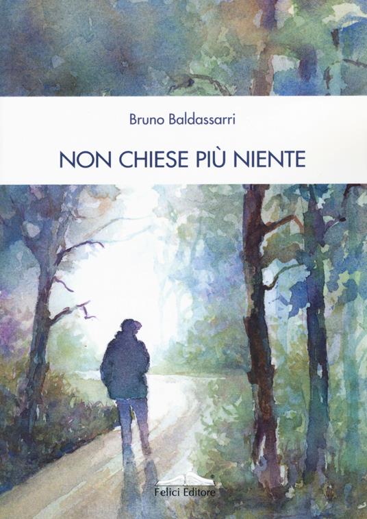 Non chiese più niente - Bruno Baldassarri - copertina