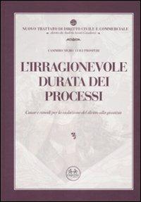 L' irragionevole durata dei processi. Cause e rimedi per la violazione del diritto alla giustizia - Casimiro Nigro,Luigi Prosperi - copertina