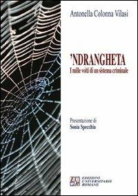 'Ndrangheta. I mille volti di un sistema criminale - Antonella Colonna Vilasi - copertina