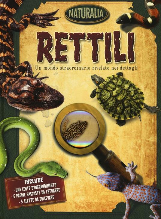 Rettili. Ediz. illustrata - copertina