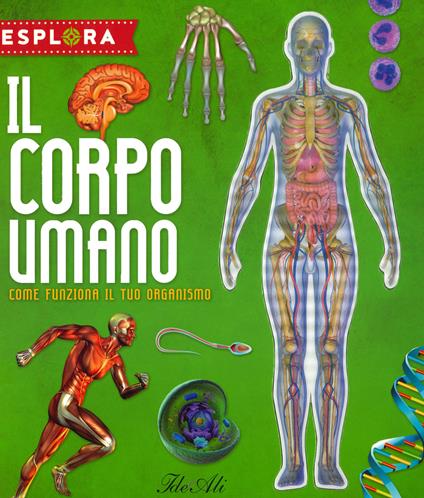 Il corpo umano. Come funziona il tuo organismo. Esplora. Ediz. a spirale. Con Adesivi. Con Poster - Jorge Montoro - copertina