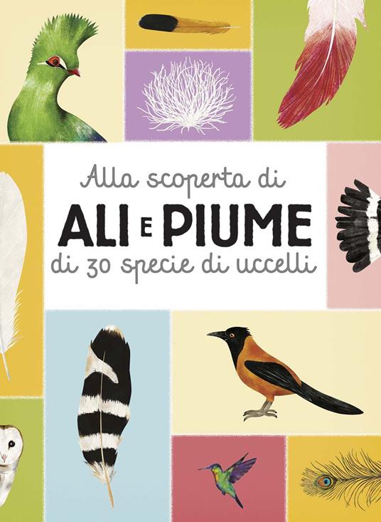 Alla scoperta di ali e piume di 30 specie di uccelli - Markéta Nováková,Eva Bártová,Blanka Sedláková - copertina