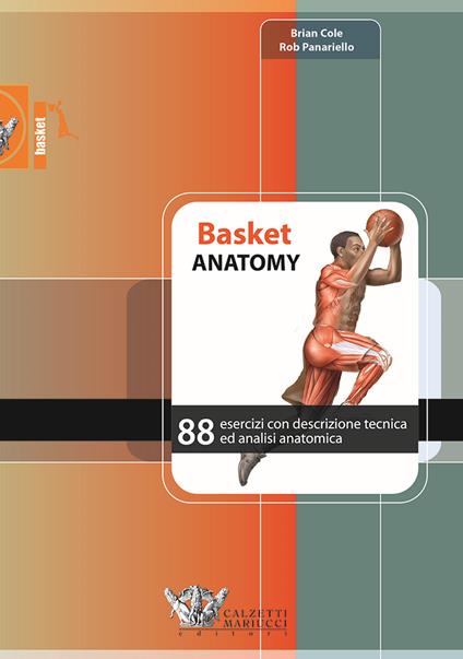 Basket anatomy. 88 esercizi con descrizione tecnica ed analisi anatomica - Brian Cole,Rob Panariello - copertina