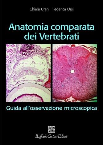 Anatomia comparata dei vertebrati. Guida all'osservazione microscopica - Chiara Urani,Federica Orsi - copertina
