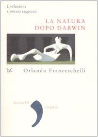 Libreria Serendipity
