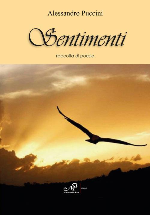 Sentimenti - Alessandro Puccini - copertina