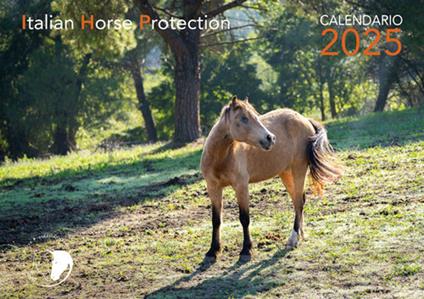 La luce dell'anima. Calendario 2025 - copertina