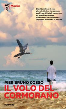 Il volo del cormorano