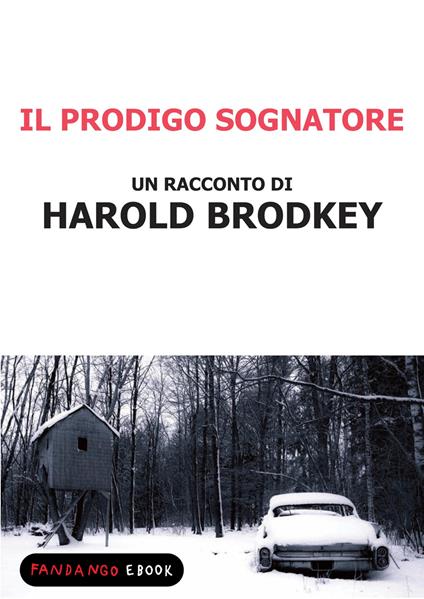 Il prodigo sognatore - Harold Brodkey - ebook