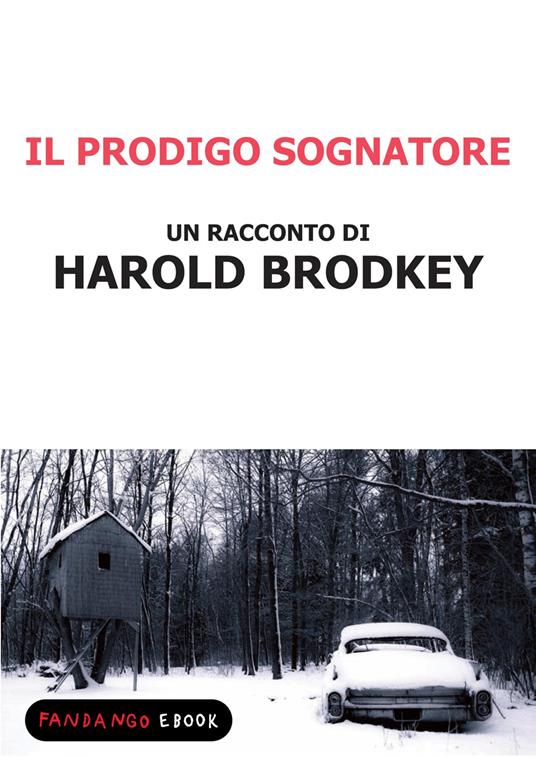Il prodigo sognatore - Harold Brodkey - ebook