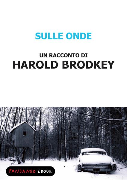 Sulle onde - Harold Brodkey - ebook