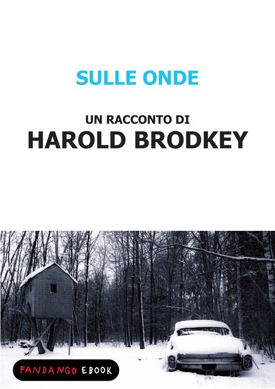 Sulle onde - Harold Brodkey - ebook