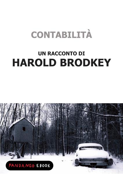 contabilità - Harold Brodkey - ebook