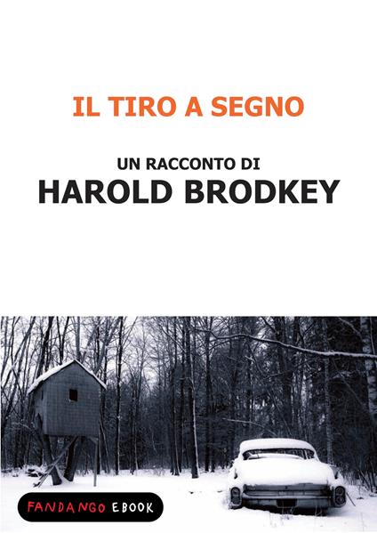 Il tiro a segno - Harold Brodkey - ebook