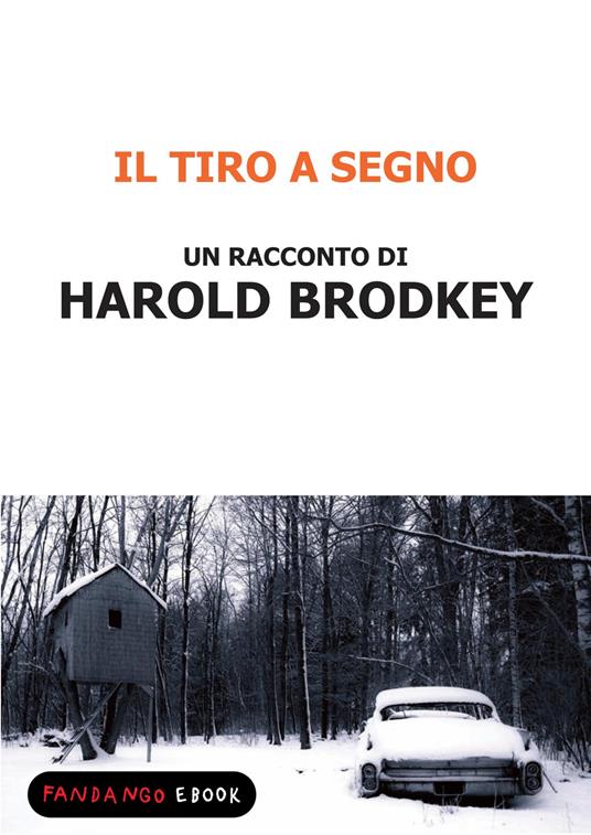 Il tiro a segno - Harold Brodkey - ebook