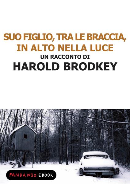 Suo figlio, tra le braccia, in alto nella luce - Harold Brodkey - ebook